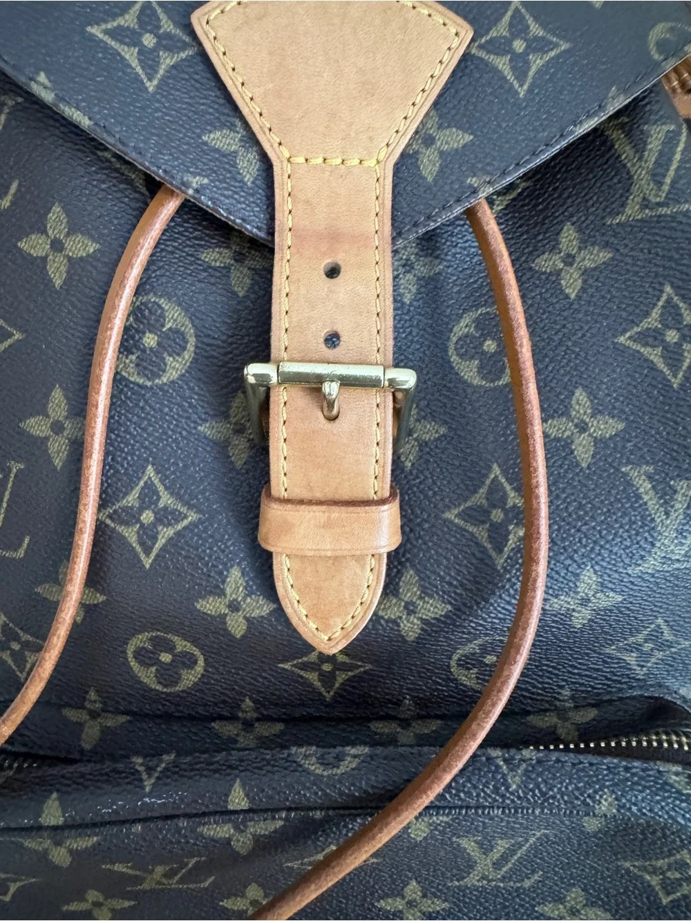 Louis Vuitton Montsouris GM Backpack